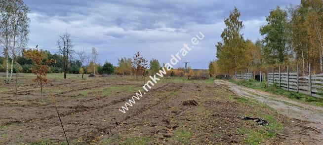 Zboiska gm. Radziejowice | MPZP | 1300m2 | S8
