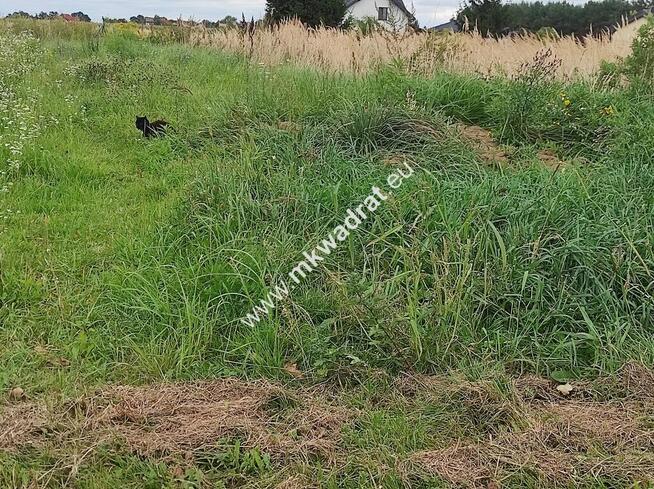 Super oferta | Boża Wola 1037m2 |z pozw. na budowę