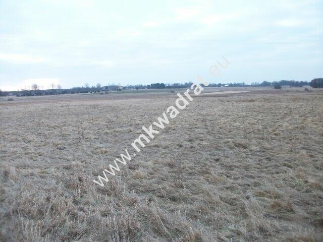 Działka siedliskowa Ojrzanów