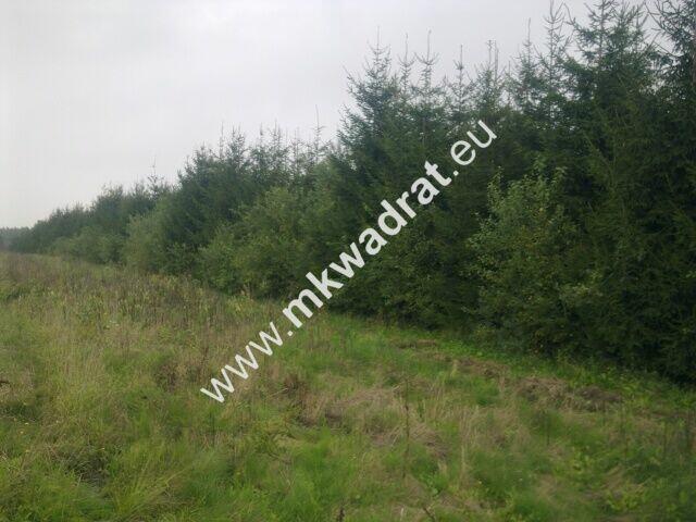 Działka rolna Powązki gm.Mszczonów