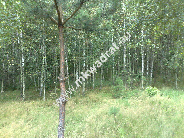 Działka w otulinie rezerwatu !