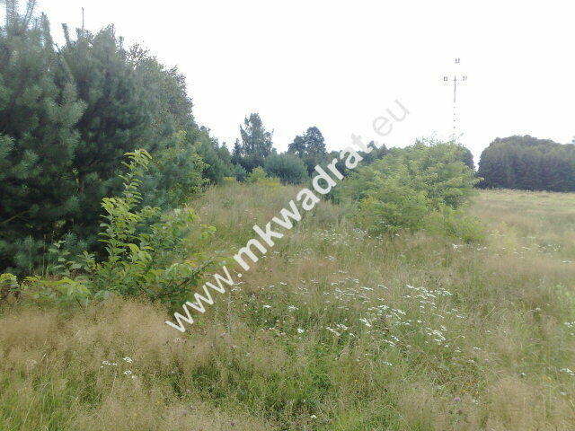 Działka w otulinie rezerwatu !