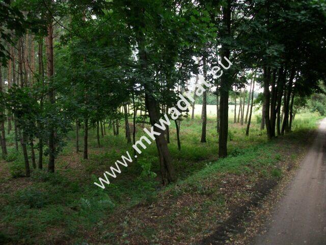 Działka rolna 13 600 m² Żabia Wola