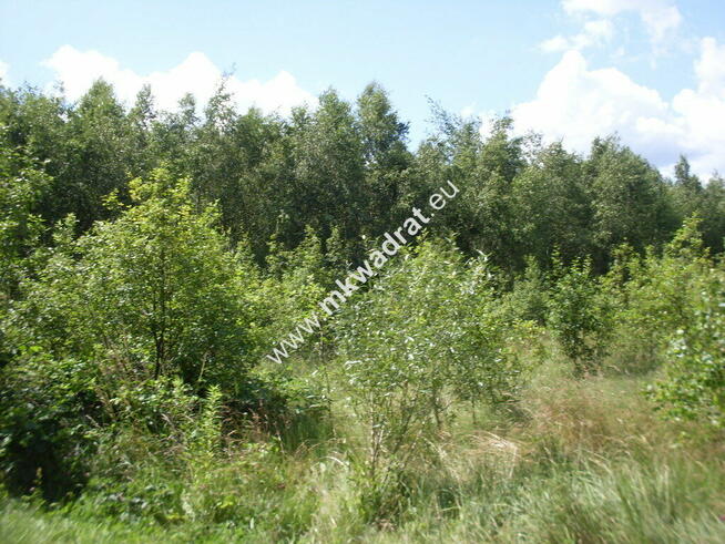 Super lokalizacja, piękny kształt.