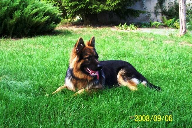 Poznam Kobietę Realną