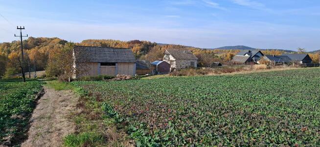 DZIAŁKI NA SPRZEDAŻ