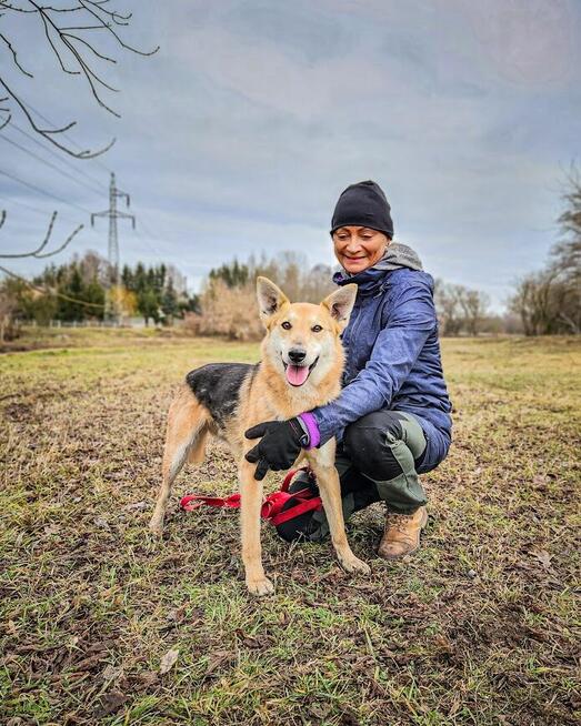Jerry - od szczeniaka w schronisku, nigdy nie miał domu!