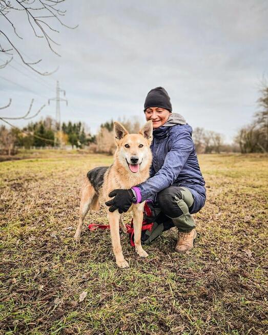 Jerry - od szczeniaka w schronisku, nigdy nie miał domu!