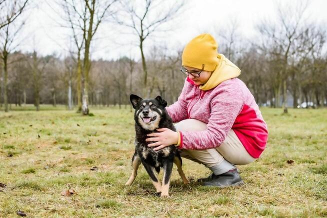 Zygmunt- niewidzialny cudowny staruszek szuka domu - adopcja