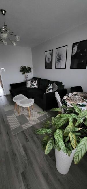 Mieszkanie 2-pokojowe 44,5m2