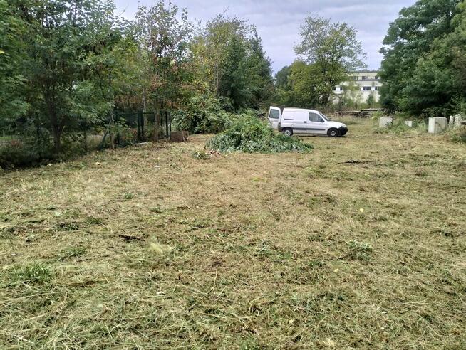 Wycinka drzew, przycinka gałęzi i czyszczenie