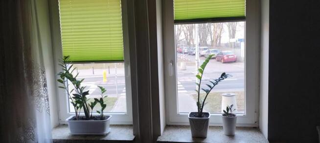 Kawalerka 20m2, Saska Kępa, Miedzynarodowa 40