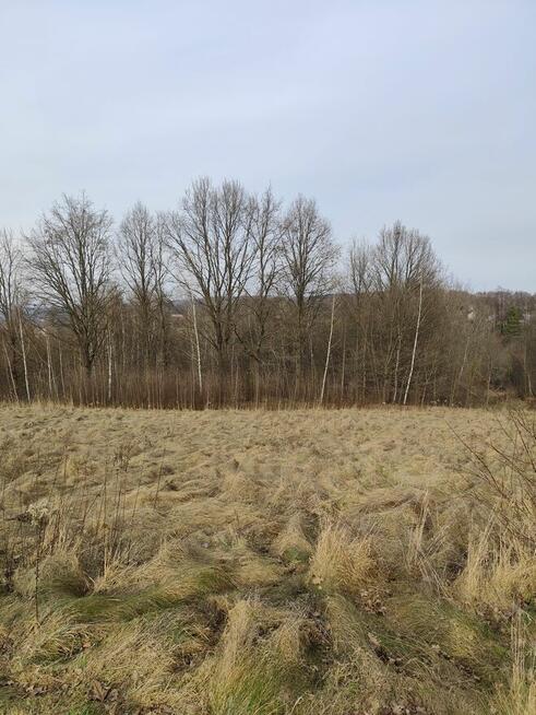 Glinik Charzewski działka 1,18 HA Sprzedam