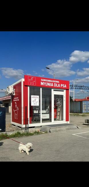 Samoobsługowa myjnia dla psów