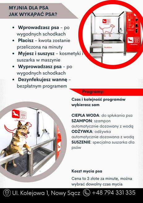 Samoobsługowa myjnia dla psów
