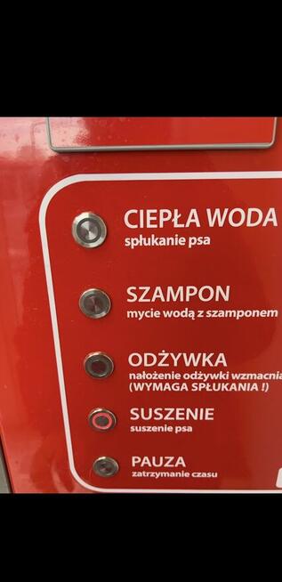 Samoobsługowa myjnia dla psów
