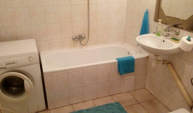 Nowowiejska na 2-3 miesiące - wszędzie blisko