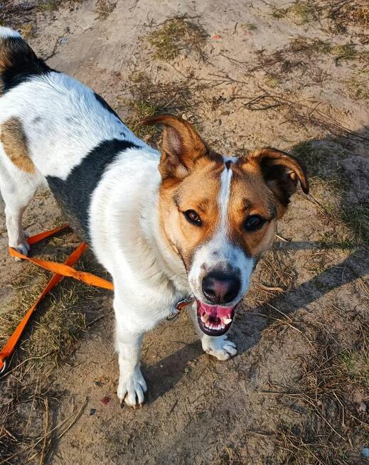 Cudowny młodziak marzy o domku gdzie zazna szczęścia