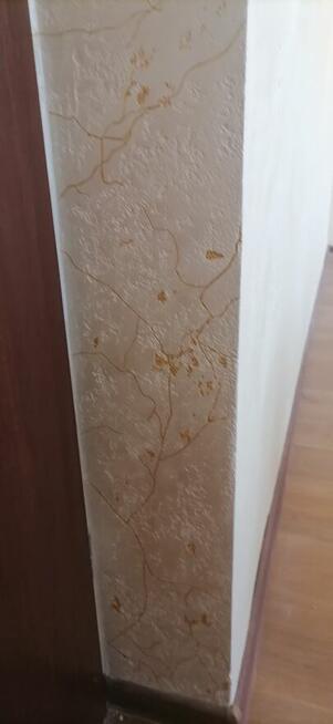 Łazienki/Układanie Paneli inne drobne prace