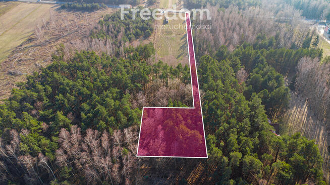 Działka w lesie w Grzegorzewicach