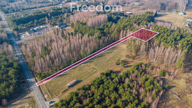 Działka w lesie w Grzegorzewicach