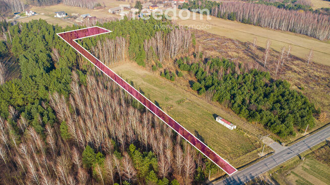 Działka w lesie w Grzegorzewicach