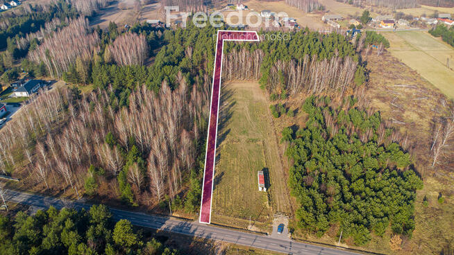 Działka w lesie w Grzegorzewicach