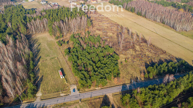 Działka w lesie w Grzegorzewicach