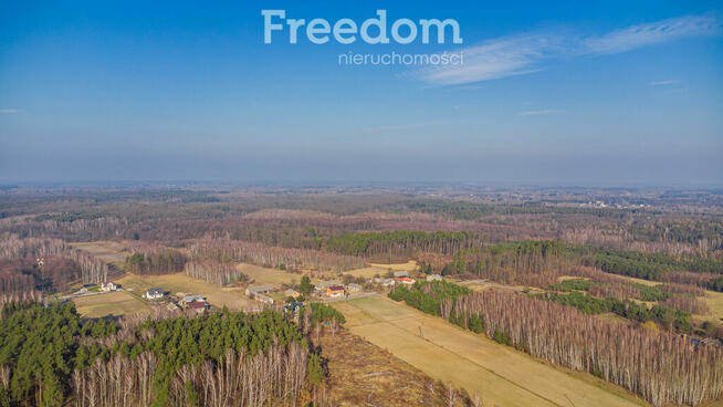 Działka w lesie w Grzegorzewicach