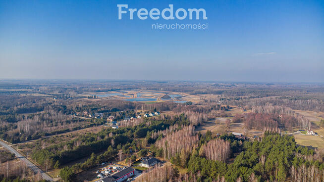 Działka w lesie w Grzegorzewicach