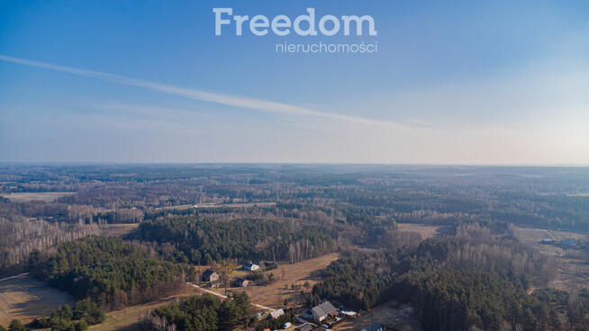 Działka w lesie w Grzegorzewicach