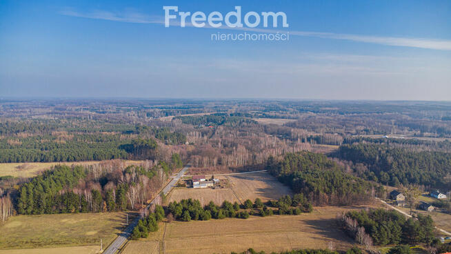 Działka w lesie w Grzegorzewicach