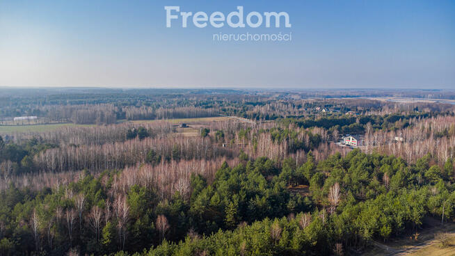 Działka w lesie w Grzegorzewicach