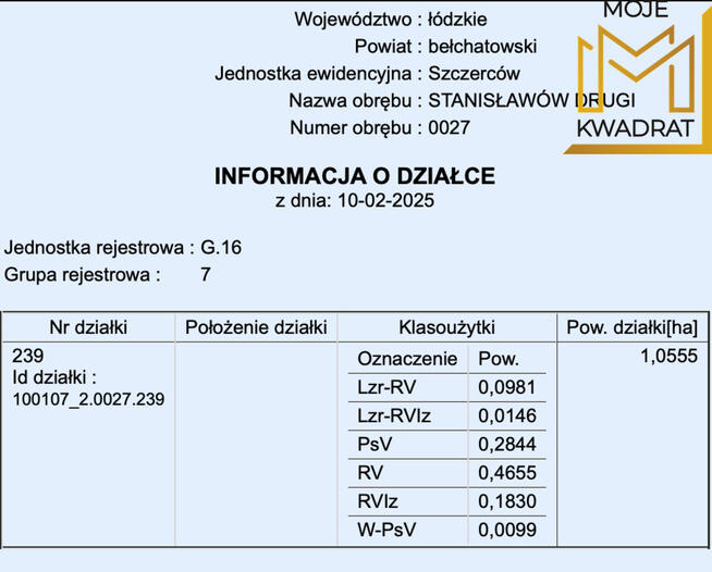 Działka - Stanisławów Drugi - 1 ha