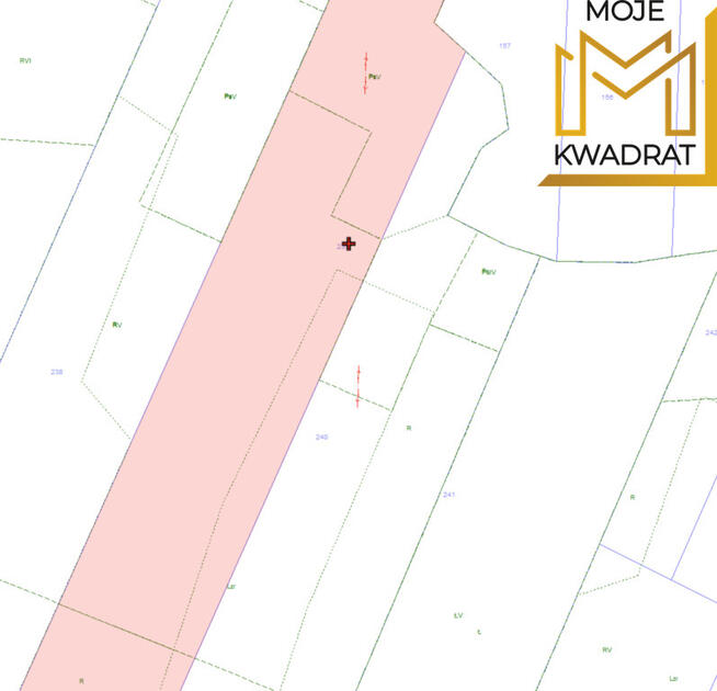 Działka - Stanisławów Drugi - 1 ha