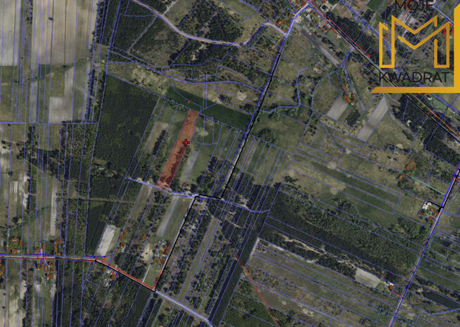 Działka - Stanisławów Drugi - 1 ha