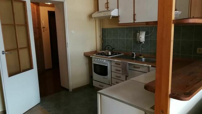 Nowowiejska na 2-3 miesiące - wszędzie blisko