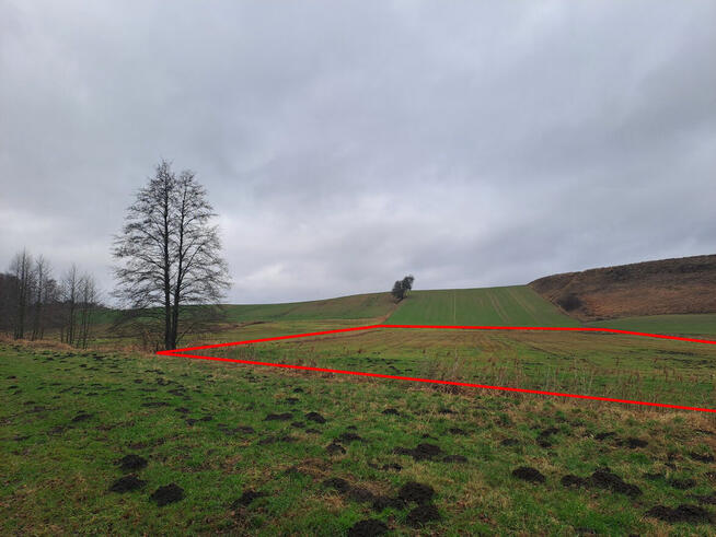 Sprzedam działkę rolną – łąkę o powierzchni 0,59 ha