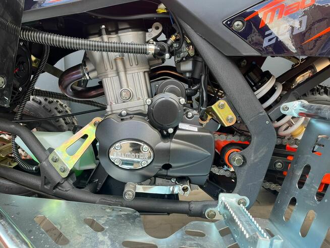 QUAD 250 CC BERRETA EGL MAD MAX 250