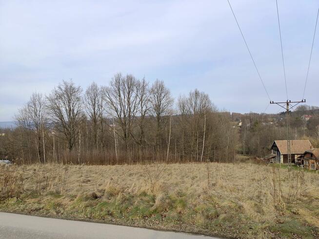 Glinik Charzewski działka 1,18 HA Sprzedam