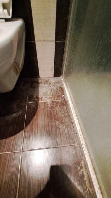 Sprzątanie po remontach