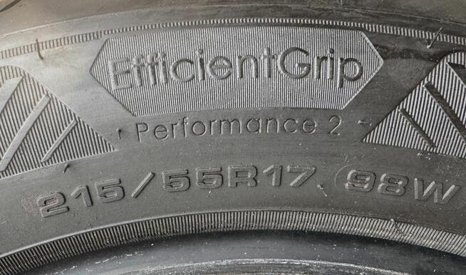 Opony letnie Goodyear Efficientgrip Performance 215/55 R17 9