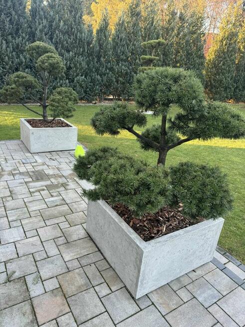 KM-TermoDonice.beton architektoniczny surowy. Transport