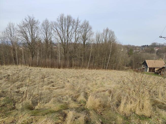 Glinik Charzewski działka 1,18 HA Sprzedam