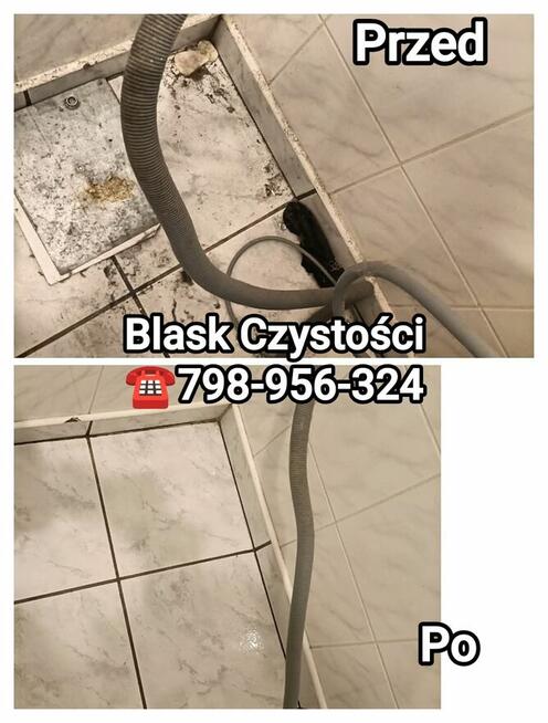 Sprzątanie domów i mieszkań, mycie okien.