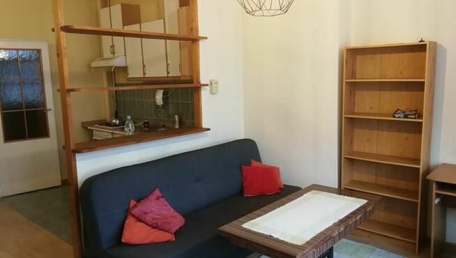 Nowowiejska na 2-3 miesiące - wszędzie blisko