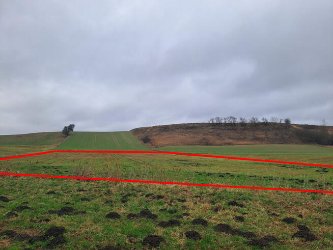 Sprzedam działkę rolną – łąkę o powierzchni 0,59 ha