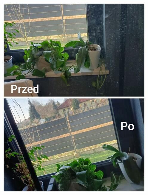 Sprzątanie po remontach