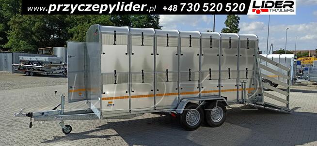 NW-017A przyczepa 430x177x186cm, do bydła, zwierząt