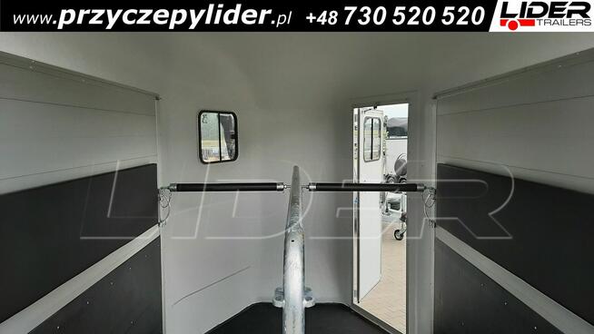 CL-17C Cheval Liberte GOLD ORIGINS przyczepa dla koni